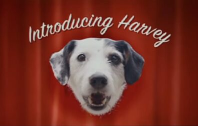 harvey ile reklamın önemi