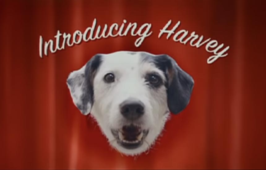 harvey ile reklamın önemi